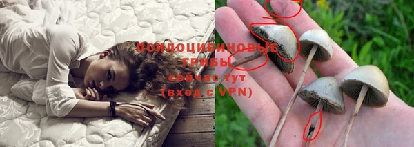 соль ск Белоозёрский
