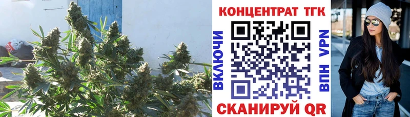 купить наркотик  Короча  ТГК Wax 