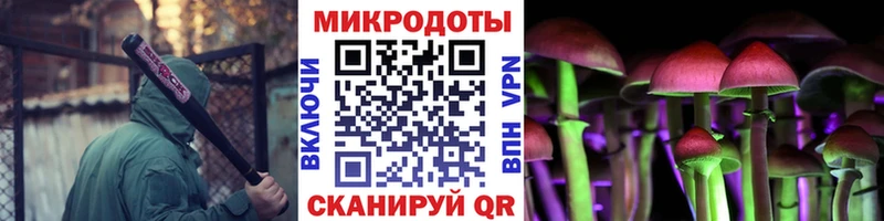 Псилоцибиновые грибы Cubensis  Короча 